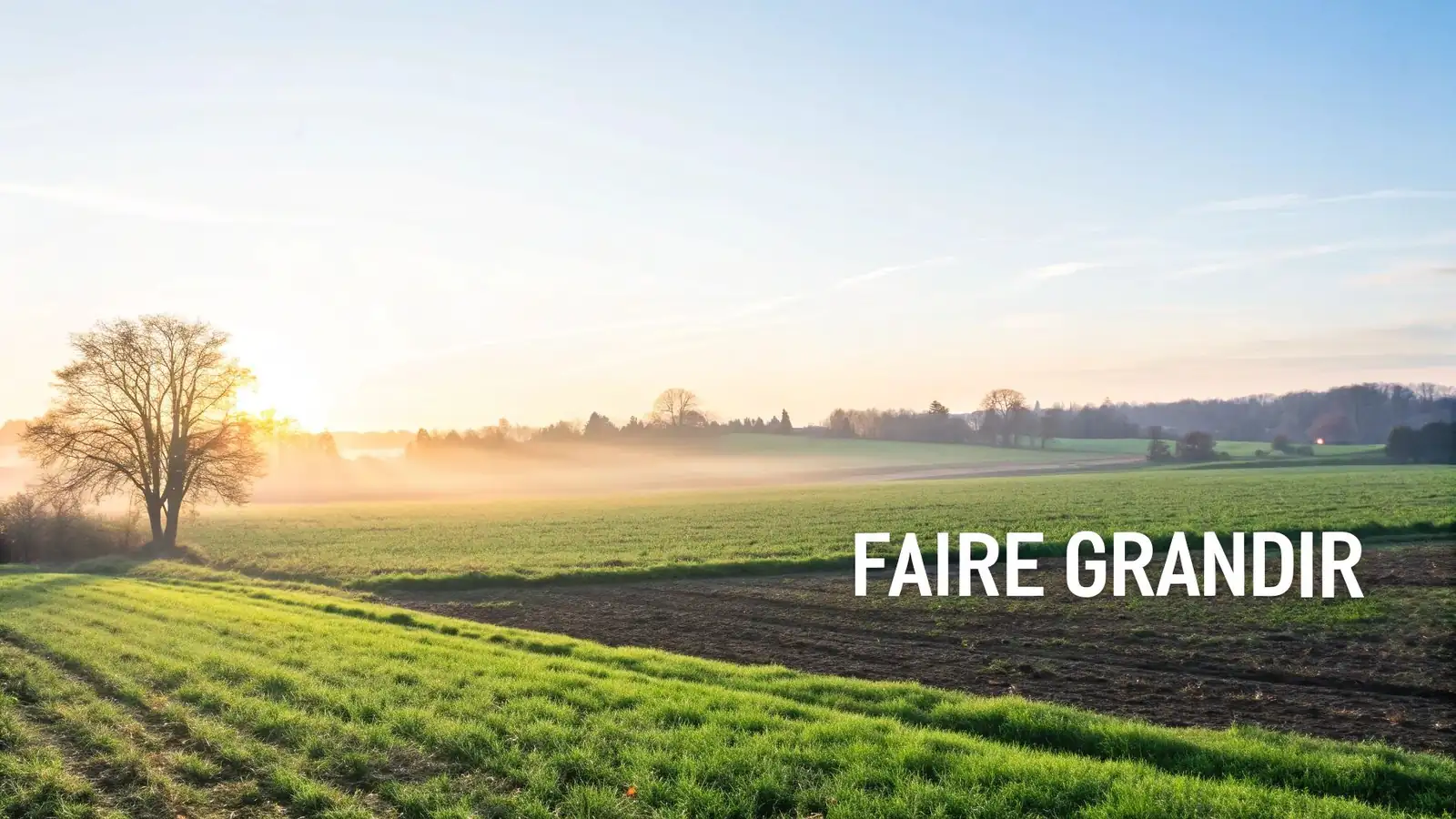 Les artisans du nurture
